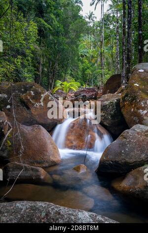 Kleiner Wasserfall zwischen Felsbrocken in Finch Hatton Creek, Finch Hatton Gorge, North Queensland, Australien Stockfoto