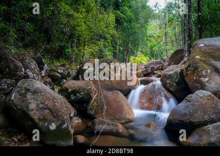 Kleiner Wasserfall zwischen Felsbrocken in Finch Hatton Creek, Finch Hatton Gorge, North Queensland, Australien Stockfoto