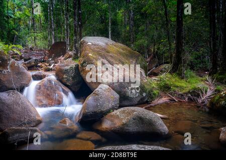 Kleiner Wasserfall zwischen Felsbrocken in Finch Hatton Creek, Finch Hatton Gorge, North Queensland, Australien Stockfoto