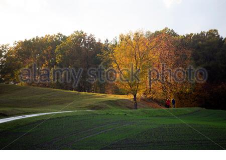 Nach einem Tag der Schauerei wurde das Wetter in Coburg gestern Abend mild und sonnig und goldene Farben über die Landschaft sorgten für eine angenehme Aussicht. Die Vorhersage ist für sehr starke Regen in der Region morgen. Stockfoto