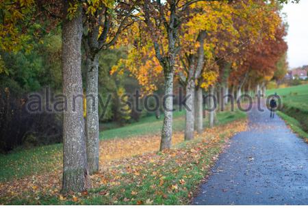 Nach einem sehr regnerischen Tag hat sich gestern Abend in Coburg Deutschland das Wetter geklart, um typische Herbstfarben und schöne Szenen zu produzieren. Für Donnerstag ist mit mehr Regen zu rechnen. Stockfoto