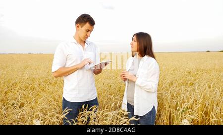 Frau und Mann mit einer Tablette untersuchen ein Ohr des reifen Weizens auf einem Feld. Stockfoto