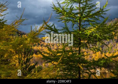 Dramatisch stürmischer Himmel in den Bergen im Herbst. Malerische Herbstlandschaft mit bunten hellen Wald. Naturlandschaft entlang des Circum-Baikal Ra Stockfoto