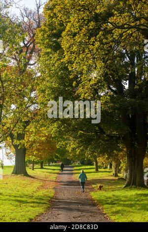Eine Person, die ihren Hund auf einem verkehrsfreien Fußweg läuft Stockfoto