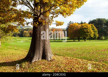 Herbstfarben auf dem Aberdour Golf Course, entlang des Fife Coastal Path. Stockfoto