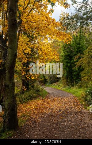 Die fife Coastal Path in der Nähe von Dalgety Bay Fife in Schottland. Stockfoto