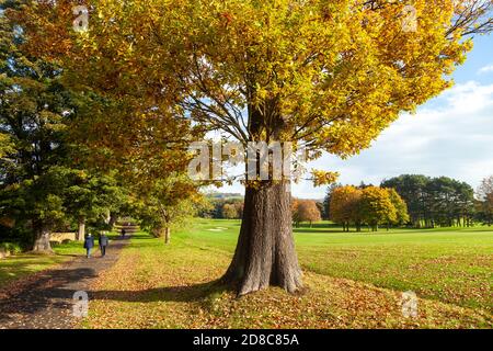 A beautiful autumnal day in Aberdour along the Fife Coastal Path next to Aberdour Golf Course. Stockfoto