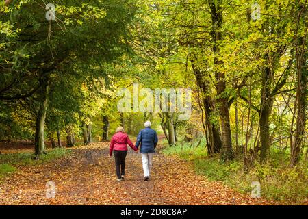 Ein pensionierter Pärchen, der in Herbstfarben auf einer Spur spazierengeht Stockfoto