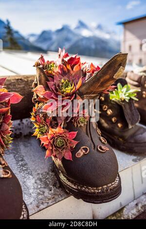 Schuhe mit kleinen Pflanzen verziert Stockfoto