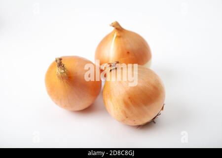 Drei weiße rohe Zwiebeln auf weißem Hintergrund. Stockfoto