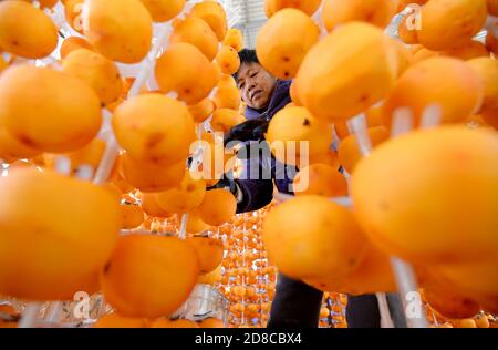 Handan, Handan, China. Okt. 2020. HebeiÃ¯Â¼Å'CHINA-im Herbst, die Ernte-und Verarbeitungssaison von Persimmon in Shixian, Handan Stadt, Provinz Hebei, die lokalen Bauern nutzen das gute Wetter, Schritt nach oben, um die Persimmon Frucht holen, schälen, Sonne hängen, Stamm, und so weiter, und machen Persimmon. Warme Herbstsonne, überall gefüllt mit süßem Erntegeschmack. Quelle: SIPA Asia/ZUMA Wire/Alamy Live News Stockfoto