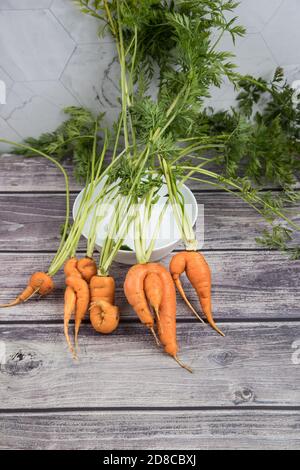 Ein paar deformierte, hässliche Karottenwurzeln gegen eine leere weiße Platte. Vertikale Ausrichtung Stockfoto