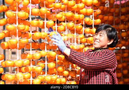 Handan, Handan, China. Okt. 2020. HebeiÃ¯Â¼Å'CHINA-im Herbst, die Ernte-und Verarbeitungssaison von Persimmon in Shixian, Handan Stadt, Provinz Hebei, die lokalen Bauern nutzen das gute Wetter, Schritt nach oben, um die Persimmon Frucht holen, schälen, Sonne hängen, Stamm, und so weiter, und machen Persimmon. Warme Herbstsonne, überall gefüllt mit süßem Erntegeschmack. Quelle: SIPA Asia/ZUMA Wire/Alamy Live News Stockfoto