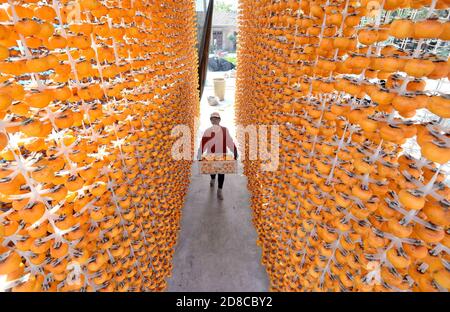 Handan, Handan, China. Okt. 2020. HebeiÃ¯Â¼Å'CHINA-im Herbst, die Ernte-und Verarbeitungssaison von Persimmon in Shixian, Handan Stadt, Provinz Hebei, die lokalen Bauern nutzen das gute Wetter, Schritt nach oben, um die Persimmon Frucht holen, schälen, Sonne hängen, Stamm, und so weiter, und machen Persimmon. Warme Herbstsonne, überall gefüllt mit süßem Erntegeschmack. Quelle: SIPA Asia/ZUMA Wire/Alamy Live News Stockfoto