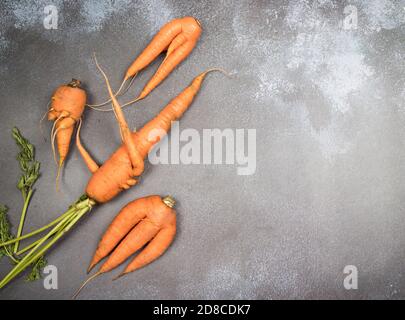 Ein paar hässliche, seltsam geformte Karottenwurzeln liegen vor einem grauen Hintergrund. Ein Ort für eine Kopie des Speicherplatzes. Horizontale Ausrichtung Stockfoto