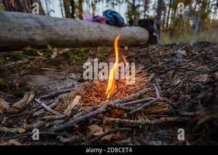 Junges Lagerfeuer im Wald Outdoor-Camping. Stockfoto