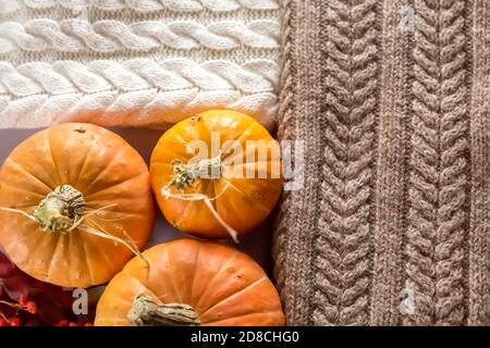 Mehrere Kürbisse liegen auf dem Tisch zwischen Herbstblättern und kuscheligen Strickpullovern. Stillleben im Herbst. Dunkler Hintergrund. Leerzeichen für Text. Die Aussicht vom Stockfoto