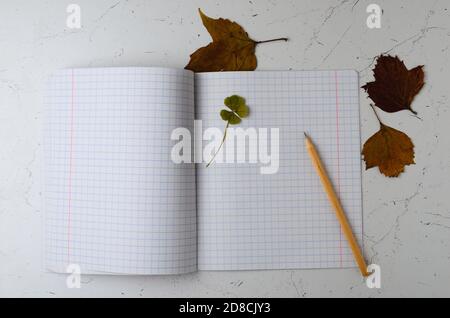 Notizbuch mit einem Lesezeichen aus vierblättrigen Kleeblatt auf dem Hintergrund eines Herbstlaub Selektiver Fokus. Stockfoto