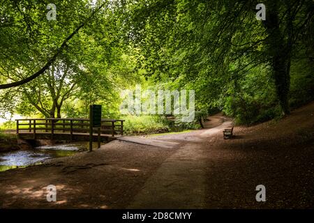 Großbritannien, England, Lincolnshire Wolds, Louth, Hubbard’s Hills, Pfad neben River lud im Landschaftspark Stockfoto