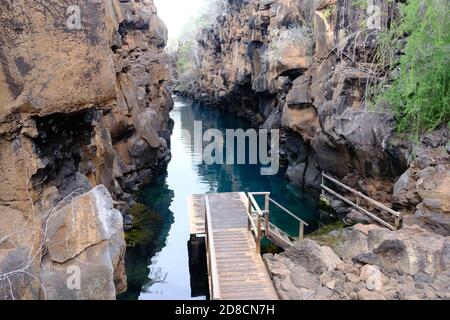 Ecuador Galapagos Inseln - Santa Cruz Insel natürliches Schwimmbeckengebiet Las Grietas Stockfoto