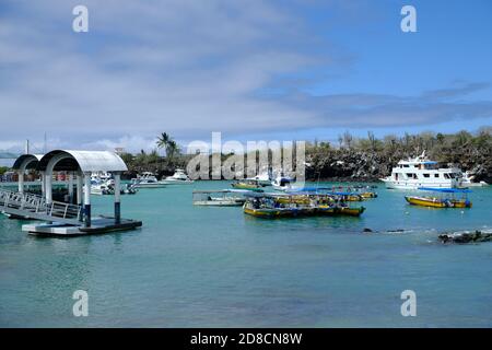 Ecuador Galapagos Inseln - Santa Cruz Insel Hafengebiet mit Fähranleger in Puerto Ayora Stockfoto