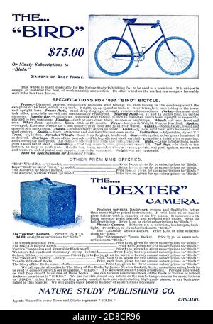 Anzeige für Vogelfahrrad und Dexter Kamera erschien in einer Monatszeitschrift mit dem Titel "Vögel : illustriert durch Farbfotografie" eine Monatsserie. Kenntnisse des Vogellebens im Jahr 1897. Stockfoto