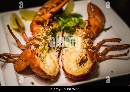 Ein ganzer gegrillter Hummer in der Mitte geschnitten und serviert mit Zitronenkeile Stockfoto