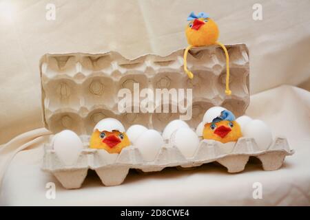 Eier Huhn Konzept. Spielzeugküken schlüpften aus Eiern in einer Eierbox. Stockfoto