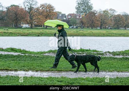 Wimbledon LONDON, Großbritannien, 29. Oktober 2020. Eine Frau, die unter einem Regenschirm während eines Spaziergangs mit einem Hund Wimbledon Common an einem nassen und regnerischen Tag in London. Das Met-Büro hat eine gelbe Warnung für die Westküste von England für sintflutartigen Regen und 70 mph Winde ausgegeben. Kredit: amer ghazzal/Alamy Live Nachrichten Stockfoto