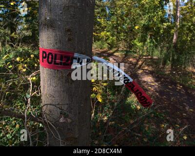 Zerrissenes Polizeisperrband mit roten und weißen Streifen zur Schließung von Bereichen für strafrechtliche Ermittlungen, die an Bäume gebunden sind. Stockfoto