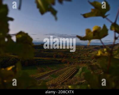 Schöne Aussicht auf die bunten terrassenförmigen Weinberge des Niedergebirges Kaiserstuhl, Deutschland im Herbst mit Vogesen im Hintergrund. Stockfoto