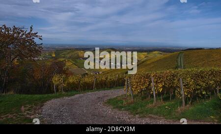 Schotterstraße durch die Weinberge von Durbach, Baden-Württemberg, Deutschland mit einem schönen Panoramablick über die Ausläufer des Schwarzwaldes. Stockfoto