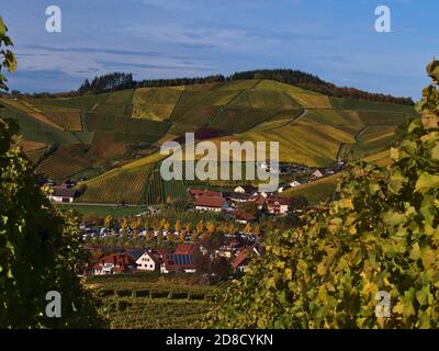 Schöne Aussicht auf Durbach, Deutschland in einem Tal am Fuße des Schwarzwaldes mit bunten Hügeln im Herbst gelegen. Stockfoto