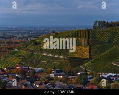 Luftaufnahme über das Dorf Durbach, Deutschland und schöne gemusterte Weinberge im Herbst mit verfärbten grünen und gelben Blättern und Rheintal. Stockfoto