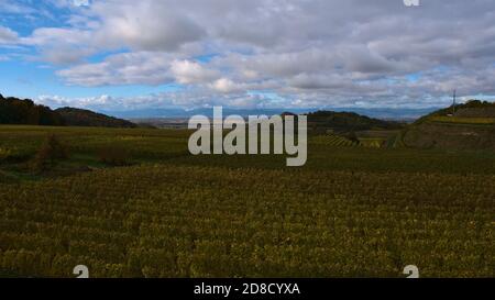 Schöner Panoramablick über die bunten Weinbaugebiete des Kaiserstuhl, Baden-Württemberg, Deutschland mit Vogesen. Stockfoto