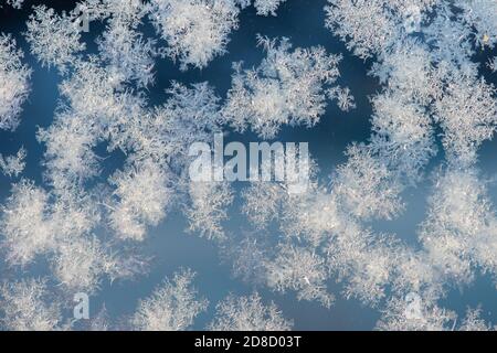 Ein abstraktes Foto eines Frostmusters auf einem Glasstück. Das Makro ist ein schwarz-weiß strukturierter frostiger Kristall Schneeflocken. Stockfoto