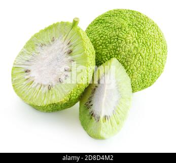 Heckenapfel (Maclura oder osage orange) isoliert auf weißem Hintergrund. Stockfoto