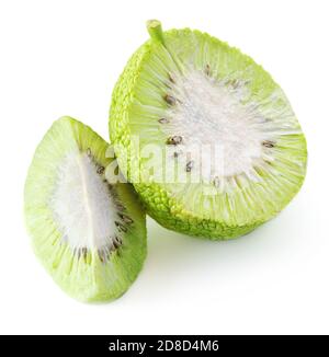 Osage Orange (Maclura) isoliert auf weißem Hintergrund. Fruit Hedge Apfel Nahaufnahme. Konzept der alternativen Medizin. Stockfoto