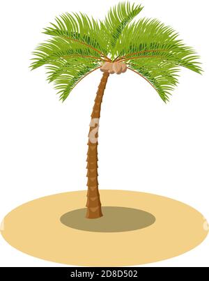 Vector Kokospalme auf dem Sand. Illustration für tropische Cartoon Requisiten, isoliert auf weißem Hintergrund Stock Vektor