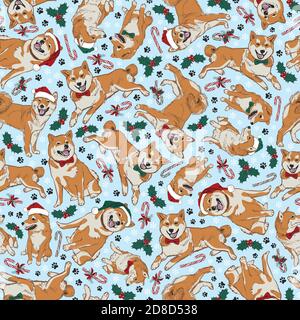 Vector blau shiba inu Weihnachtshunde multidirection nahtlose Muster mit santa Hüte, Stechpalme und Süßigkeiten Stöcke. Perfekt für Stoff, Scrapbooking und Stock Vektor