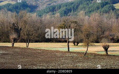 Borgo val di Taro (PR), Italien, eine Landschaft entlang des Tals von Taro Stockfoto