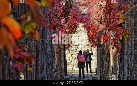 Peking, China. Okt. 2020. Die Menschen genießen die Herbstlandschaft in Gubei Water Town in Peking, Hauptstadt von China, 29. Oktober 2020. Quelle: Li Xin/Xinhua/Alamy Live News Stockfoto