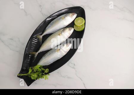 Ungekochte indische Makrelenfische Rastrelliger kanagurta. Auch bekannt als Bangda Fisch. Freier Speicherplatz für Kopien. Zitronenkeil und Koriander. Draufsicht Fischhintergrund. Stockfoto