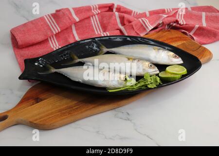 Ungekochte indische Makrelenfische Rastrelliger kanagurta. Auch bekannt als Bangda Fisch. Freier Speicherplatz für Kopien. Zitronenkeil und Koriander. Draufsicht Fischhintergrund. Stockfoto