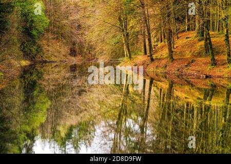 Drumlnrig Castle loch in der Nähe von Thornhill Dumfries und Galloway, Schottland Stockfoto