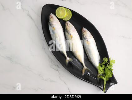 Ungekochte indische Makrelenfische Rastrelliger kanagurta. Auch bekannt als Bangda Fisch. Freier Speicherplatz für Kopien. Zitronenkeil und Koriander. Draufsicht Fischhintergrund. Stockfoto