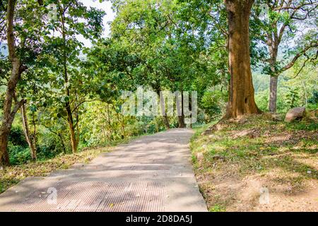 Deopahar Ruinen, die archäologische Stätte Deopahar befindet sich in Numaligarh, Golaghat Bezirk, Assam Stockfoto