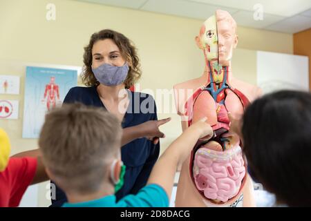 Weibliche Lehrerin trägt Gesichtsmaske mit menschlichen Anatomie Modell zu Unterrichten Sie die Schüler in der Klasse Stockfoto