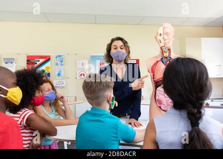 Weibliche Lehrerin trägt Gesichtsmaske mit menschlichen Anatomie Modell zu Unterrichten Sie die Schüler in der Klasse Stockfoto