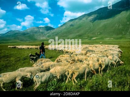 Italien Umbrien Nationalpark Castellluccio da Norcia Sibillini Piana Grande Shepard Stockfoto